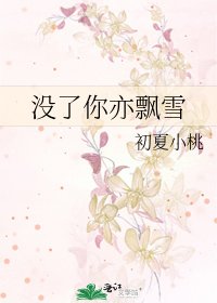 《没了你亦飘雪》