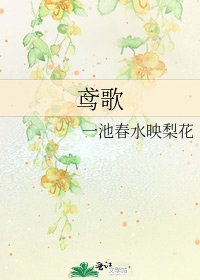 《鸢歌》
