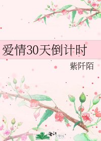 爱情30天倒计时