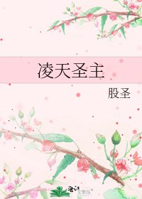 凌天圣主