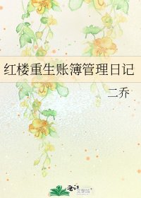 红楼重生账簿管理日记