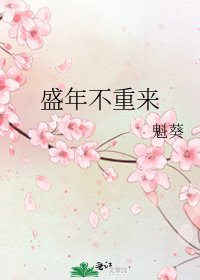 盛年不重来