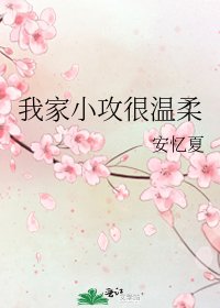 《我家小攻很温柔》