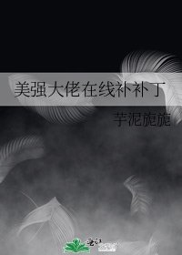 《美强大佬在线补补丁》