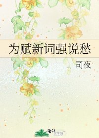 《为赋新词强说愁》