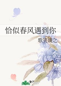 《恰似春风遇到你》