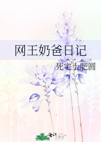 《网王奶爸日记》