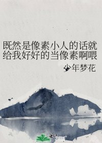 《既然是像素小人的话就给我好好的当像素啊喂!》