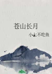 《苍山长月》