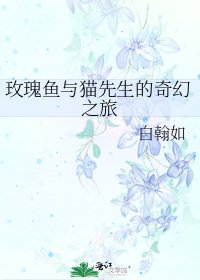 《玫瑰鱼与猫先生的奇幻之旅》