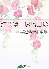 《红头罩:迷鸟归途》