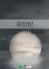 《寻衍纪》