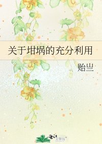 关于坩埚的充分利用