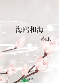 《海鸥和海》