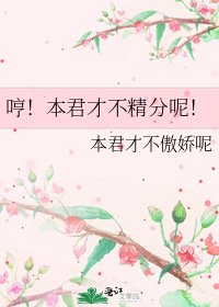 《哼!本君才不精分呢!》