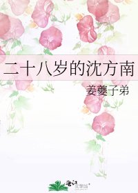 二十八岁的沈方南