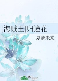 [海贼王]归途花