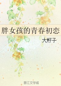 胖女孩的青春初恋