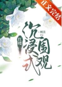 （红楼同人）红楼沉浸式围观