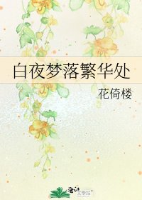 《白夜梦落繁华处》