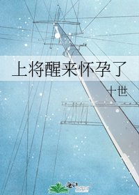 《上将醒来怀孕了》