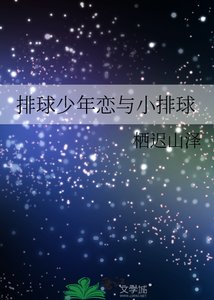《排球少年恋与小排球》