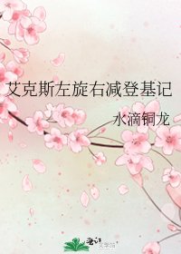《艾克斯左旋右减登基记》