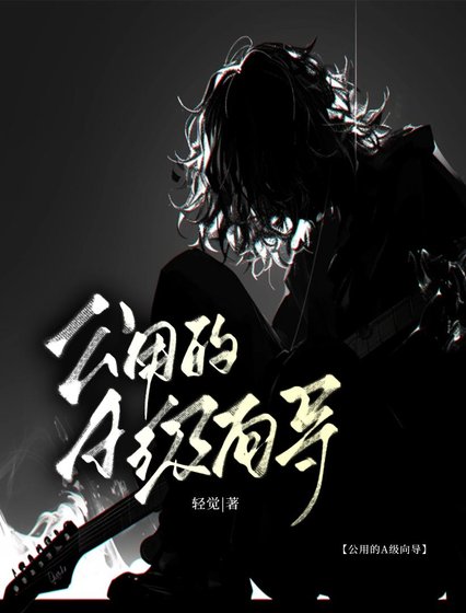 《公用的A级向导》