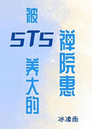 《被5T5养大的禅院惠》