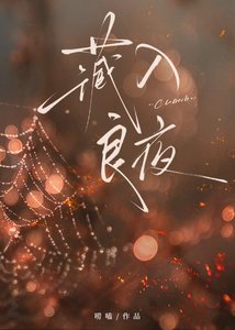 《藏入良夜》