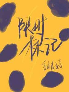 《限时标记》