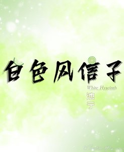 《白色风信子》