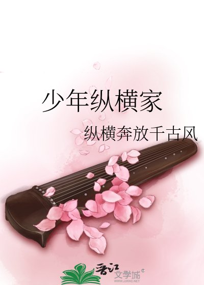 《少年纵横家》