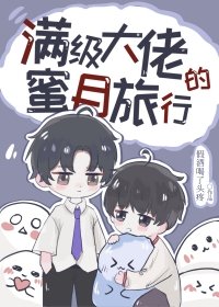《满级大佬的蜜月旅行》