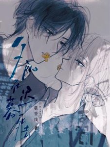 《夕阳在迟暮死去》