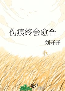 《伤痕终会愈合》