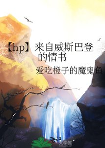 《【hp】来自威斯巴登的情书》