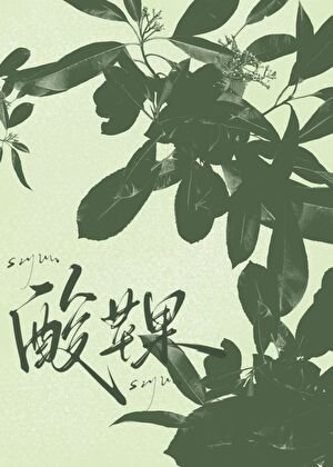 《酸苹果》
