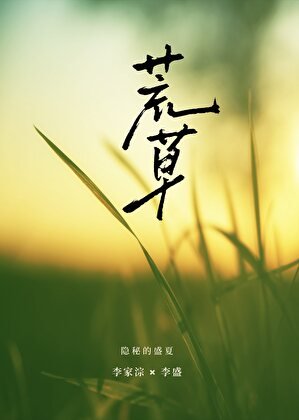 荒草