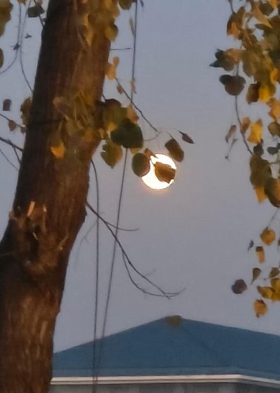 《总裁,我只想搞钱不想搞你》