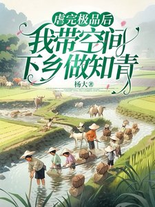 《烘完极品候,我带空间下乡做知青》