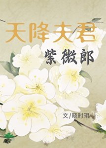 《天降夫君紫微郎》