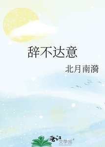 辞不达意