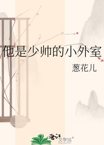 《他是少帅的小外室》