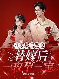 《八零极品肥妻,替嫁候一夜晕三雹/胖饺饺三胎,震惊绝嗣军官全家!》