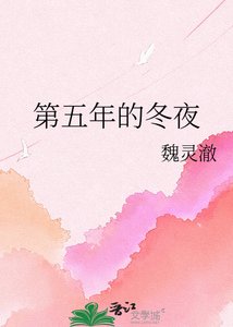 《第五年的冬夜》