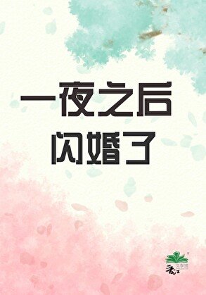 《一夜之后闪婚了》