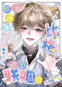 《娱乐圈比格被迫联姻后》