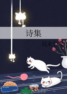 《诗集》