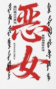 《我为恶女洗白那些年》